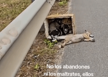 M2808018_Diego Sanchez on Reels_part2