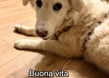 M0309005 Non sono brava con le parole difficile per me descrivere tutto que