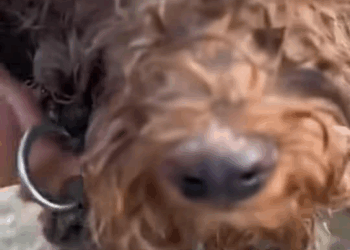 M1009020 This Story will break your heart (1) part2