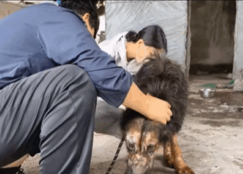 M0309008 Every soul deserves second chance