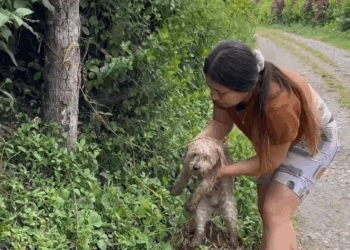 M0409002 Ellos también merecen recibir amor cuidado part2