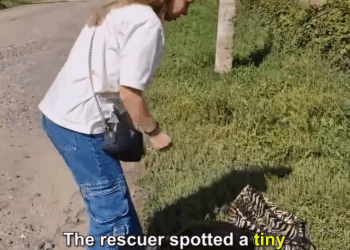 M1209015_This cute little baby is so happy now_part2