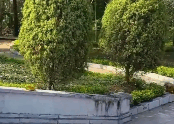 M0409003 En toda su vida no ha recibido un baño part2