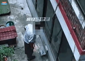 M1709010 TikTok video part2