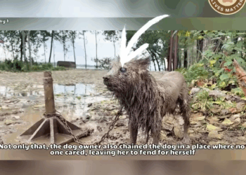 M0509007_He Couldn See And No One Saw Him Until Now_part2