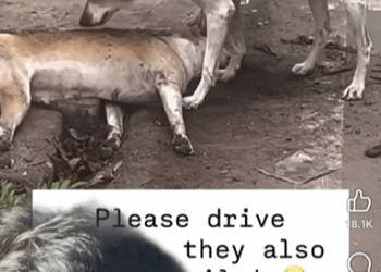 M2808017_Raevin Bonifacio Blogs_part2