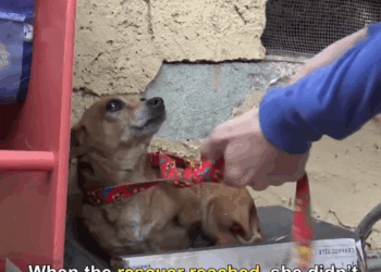 M1209006_She such sweet little angel Such good girl_part2