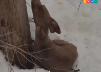 M2109008 gente con maldad hay en todo el mundo pero gracias dios hay mas gen