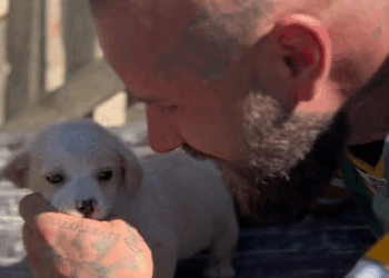 M2109013 Gute Reise unser kleiner Engel Nimm unsere liebe mit zu deinem Stern