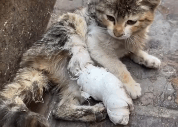 M2407022 Jamescommunity outreach on Reels part1