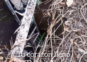 M0409009 Pantera de nuestro corazón amor perros adoptanocompres Claudio Cocimano part2