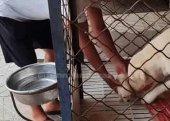 M2109026 fyp foryou parati hero part2