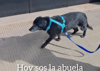 M0409010 La abuela Margarita Disfrutando de la vida