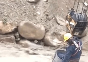 M2109037 rescue dog stuck in the middle of river doglovers petlover cut