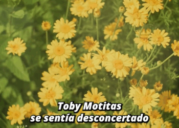 M0409014 El frío lo atrapó tratando de volver su hogar se despide de la vida part2