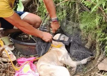 M2409005 bakit may mga tao talaga na walang pag Papahalaga sa mga Buhay nila diyos na bahala sa gumawa sa iyo dogie masakit lang isipin dahil part2