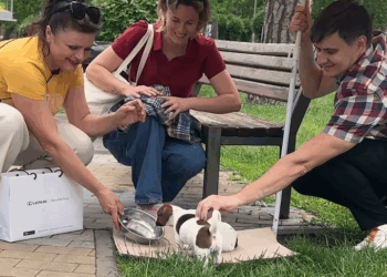 M2409011 Small Paws Big Hope Rescue Story That Will Touch Your Heart part2