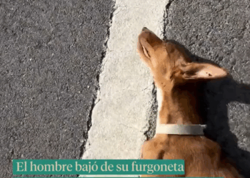 M2609020 La imagen es desgarradora