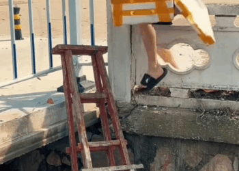 M2809009 #trendingvideo #shorts #reels #virals # Joni CR part2