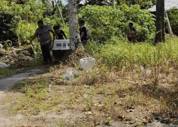 M3009001 selamat jalan sahun, sekarang sahun berkumpul dengan orang baik 🥲 semoga bisa membawa kebahagiaan dan rezeki untuk orang orang yang sayang sahu part2