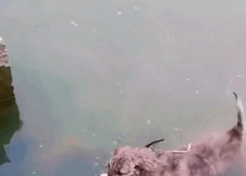 M1308052 This Story will break your part1 Indolore