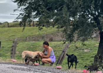 M3108016 Miles esperan como ella pero juntos podemos llegar