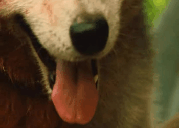 M0309018 fyp movie film part2