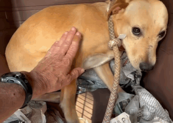 M0709002 We know we sound and look like broken record but that is our reality