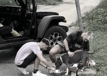 M0709010 This dog was abandoned (1) part2