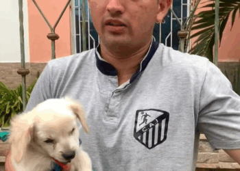 M3108019 Ab ndonar0n su perrito porque no tenían para curarl0 Salvando Caninos Mininos Chone part2