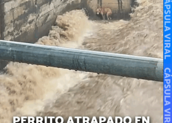 M1410010 Miles de habitantes del norte de Veracruz fueron evacuados tras la crecida de los ríos Cazones y Tecolutla, cuyas aguas desbordadas inundaron mun part2