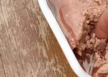 M3009012 A Lonely Puppy Barked at Me… What Happened Next Changed His Life 🐶💔➡️🏡 People love animals part2