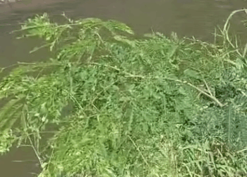 M9010004 Help save his life #TeamChangBoi, ChangBoi, construction contractor part 2