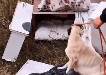 M1110001 A dor de uma mãe invisível 💔 part2