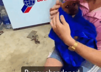 M1110009 Puppy abandoned in trash can #foryou #animal #dog #puppy #abandoned #rescue #neiperteee #cane part2