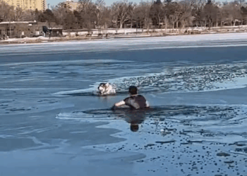 M1110019 @hollymorph writes Yesterday my friend and I went for a walk around Sloan’s Lake