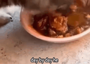 M1410016 From Lost to Loved The Incredible Journey of a Little Puppy! ❤️🐾 People love animals part2