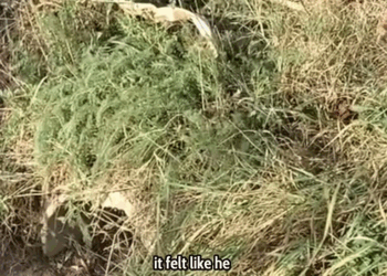 M1410017 He Barked at Me… But Was Really Crying for Rescue 😢🐾❤️ People love animals part2