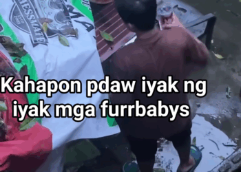 M2010001 RESCUE‼️ RESCUE‼️ RESCUE‼️