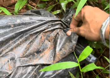 M1710003_Who is so cruel and cold in the wind? #LyHoa #countrysidelife #trend #love _part2