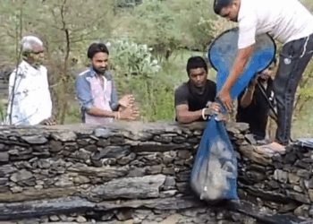 M1710004 A drowning dog’s desperate wish comes true