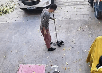 M1710006poor dog part2