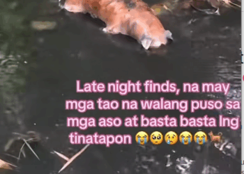 M1710007Pwede nmn ilibing ng maayos😭tinapon nyu na lng d na kau naawa😭runfree doggy💔kht wla kna hndi ka pa dn nla bngyan part2