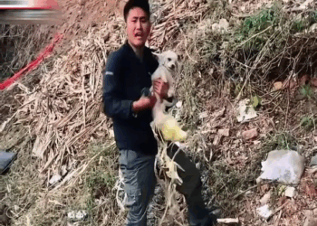 M1810002 A compassionate man saved a poor little boy who was covered in plaster with his eyes wide open.