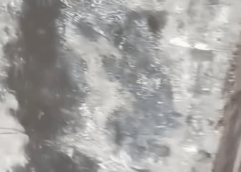 M1810010 #cat #catsoftiktok #cats #catvideo part2\