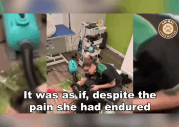 M1810014 In a World That Ignored Him, We Chose to Love Him part2