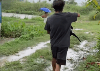 M1810018 Reel by Kaset Suk Na