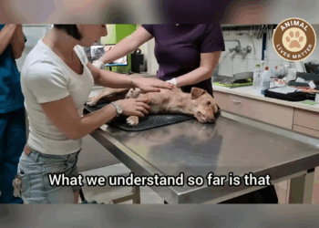 M1810020 She had lost hope, until someone cared