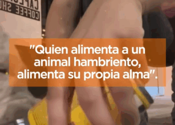 M1810022 Reel by MrDogy part2