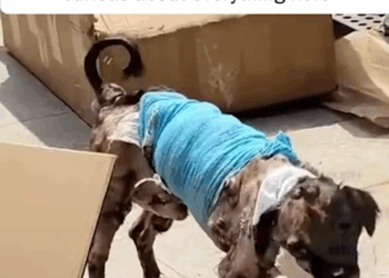 M2010005 We couldn’t imagine how much pain he had gone through Sacred Heart Cathedral Ho Bankoe part2